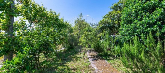 Casa T4 em Covide, Portugal N.º 165912 20