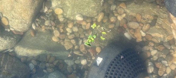 4 Schlafzimmer Haus in Hersfeld-Rotenburg, Germany, Nr. 218494 12