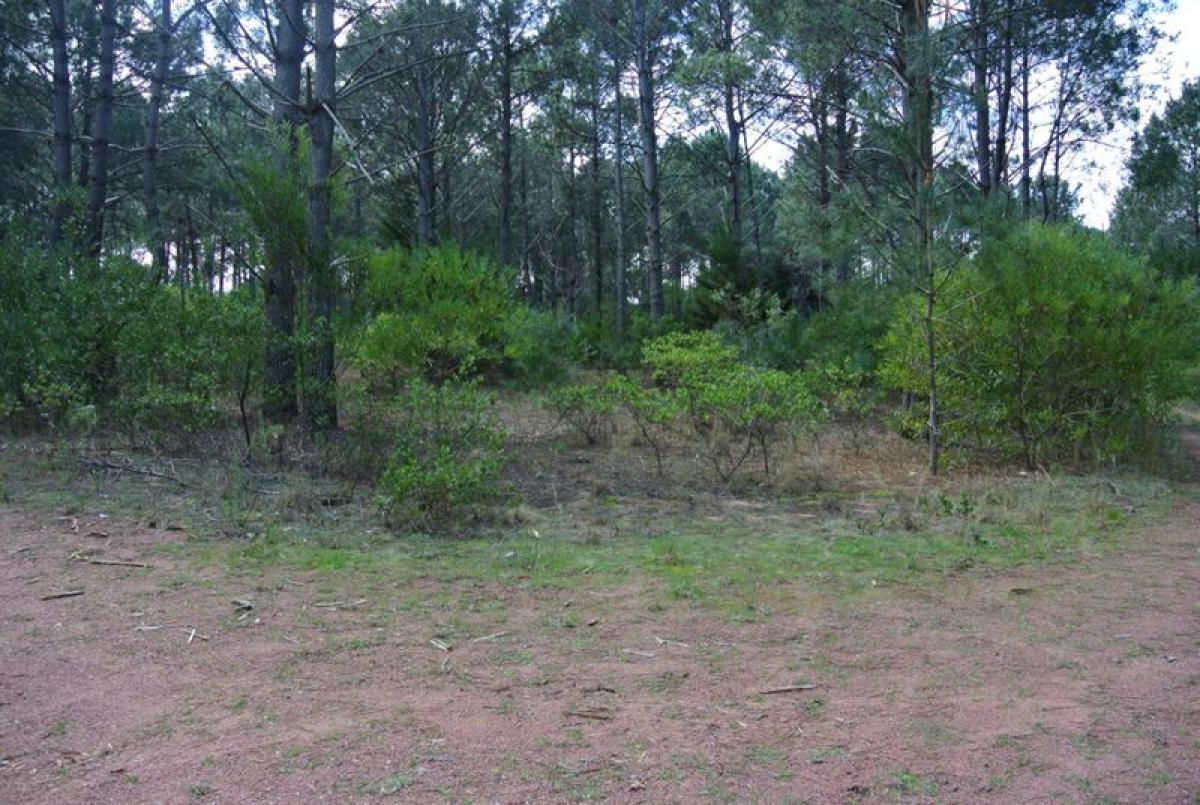 Terrain à Maldonado, Uruguay No. 16201
