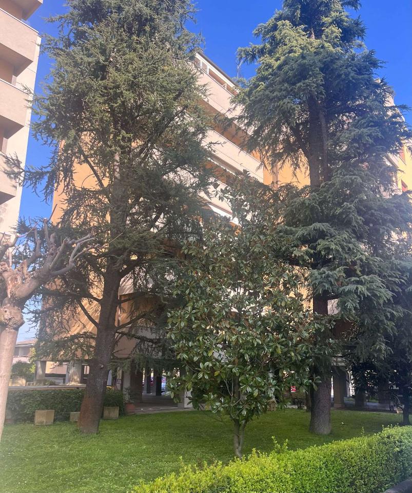 4 rooms Apartment in Castel Maggiore, Italy No. 30251