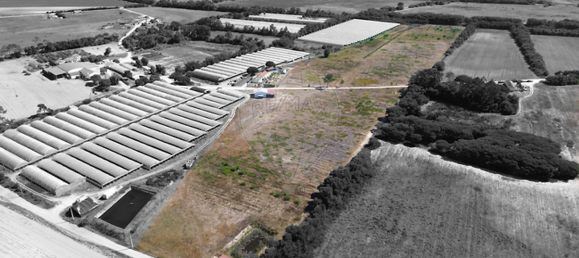  Castillos de 3 dormitorios en Odemira, Portugal No. 43669 10