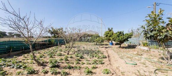  Castillos de 3 dormitorios en Odemira, Portugal No. 43669 17