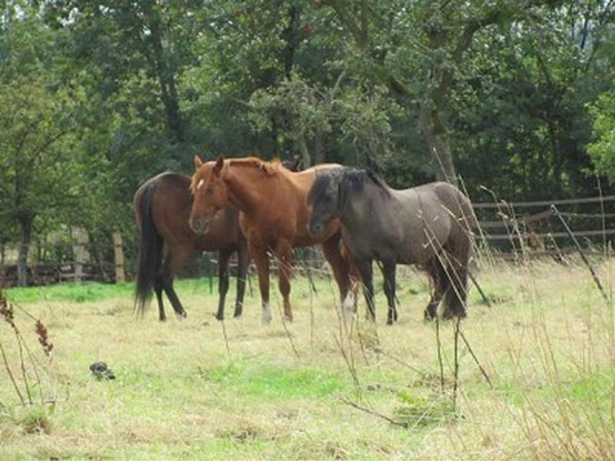 Дом с 2 спальнями в Льёре, Франция № 37966