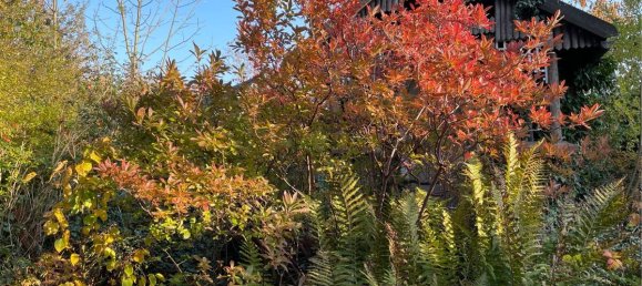 Casa de 5 dormitorios en Gorlitz, Germany No. 154321 18