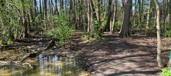 990m² Land in Dahme-Spreewald, Germany No. 308172 10