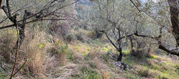 Grundstück in Casaprota, Italy 3950m², Nr. 202252 15