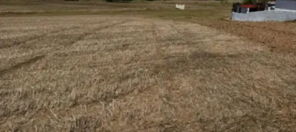 Grundstück in Cadiz, Spain 22000m², Nr. 170642 4