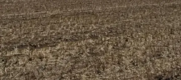 Grundstück in Cadiz, Spain 22000m², Nr. 170642 2