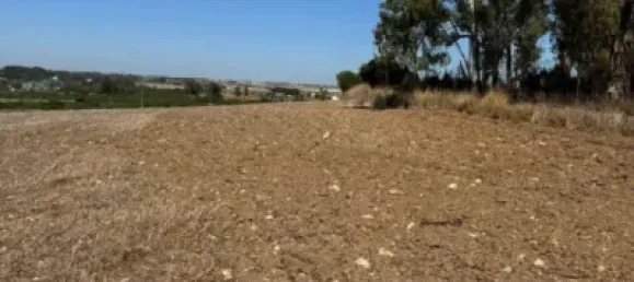 Grundstück in Cadiz, Spain 22000m², Nr. 170642 3