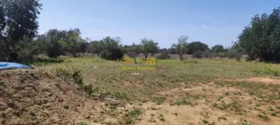 Terreno em Roquetes, Spain 20865 m² N.º 164953 19