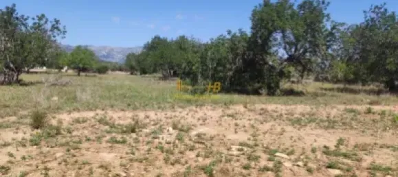 Terreno em Roquetes, Spain 20865 m² N.º 164953 18