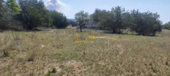 Terreno em Roquetes, Spain 20865 m² N.º 164953 20