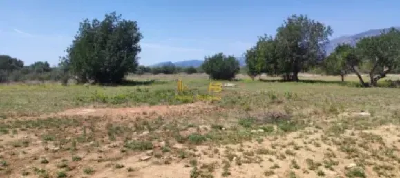 Terreno em Roquetes, Spain 20865 m² N.º 164953 17