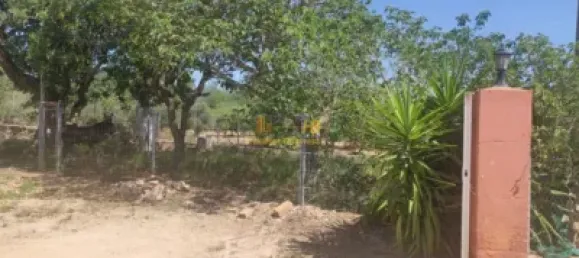 Terreno em Roquetes, Spain 20865 m² N.º 164953 13