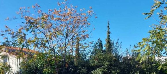 Hotel in Panorama, Greece 1056m², Nr. 5572 5