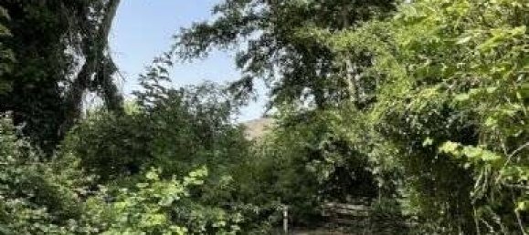 Бунгало с 4 комнатами в Рейн-Зиг, Германия № 197021 4