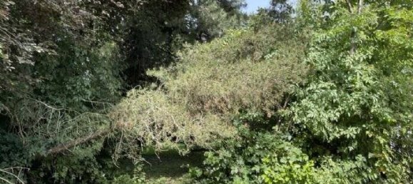 Бунгало с 4 комнатами в Рейн-Зиг, Германия № 197021 26