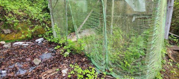 Земельный участок 1923м² в Freudenstadt, Германия № 3782 11