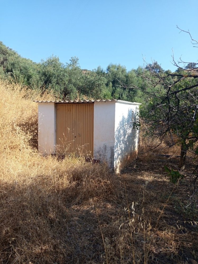 Terrain à Guaro, Spain 3666m² No. 220284