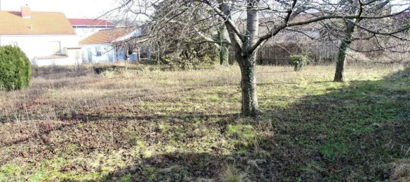 2230m² Land in Schwechat, Austria No. 239298 4
