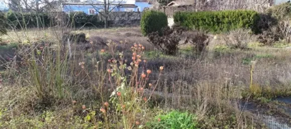 2230m² Land in Schwechat, Austria No. 239298 3