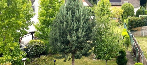 Casa de 6 habitaciónes en Cologne, Germany No. 262945 4