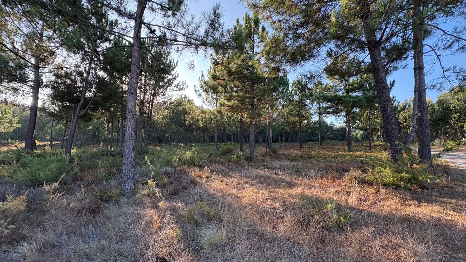  Land in Sao Martinho do Porto, Portugal No. 297408