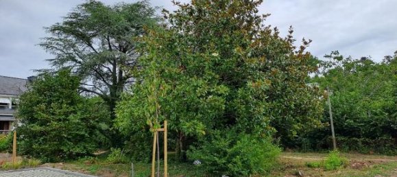 Terrain à Crach, France No. 343236 4