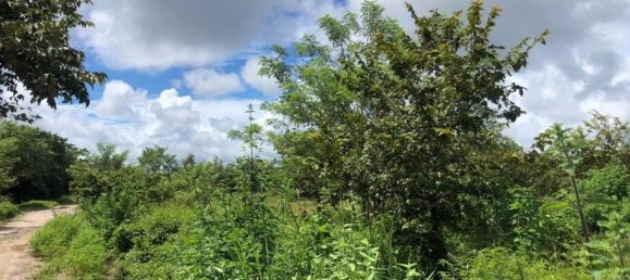 Land in Liberia, Costa Rica No. 1908 2