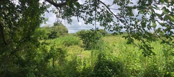 Land in Liberia, Costa Rica No. 1908 5