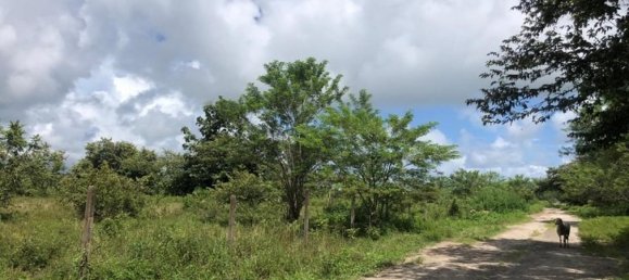 Land in Liberia, Costa Rica No. 1908 4