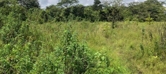 Land in Liberia, Costa Rica No. 1908 6