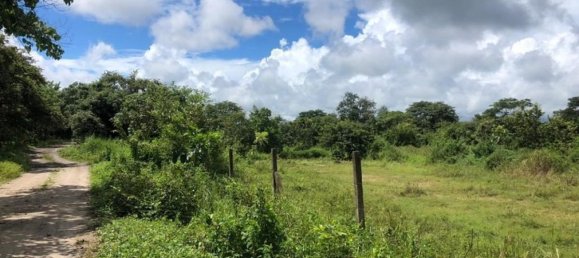 Land in Liberia, Costa Rica No. 1908 3