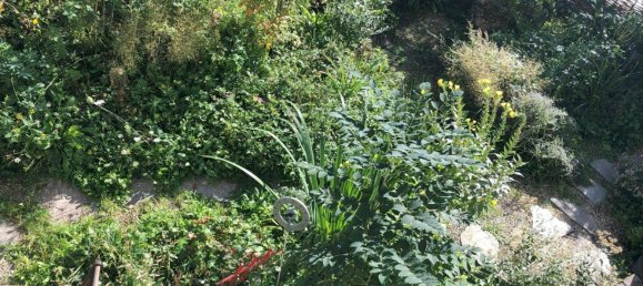 6غرفة منزل في Ybbsitz, Austria رقم 53000 19