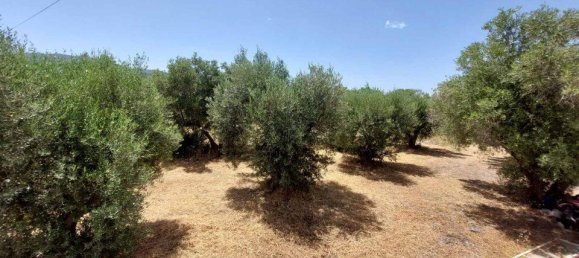 7000m² Hotel in Chalkidiki, Greece No. 6151 10