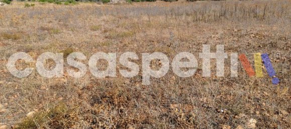 Земельный участок в Veglie, Италия № 335302 4