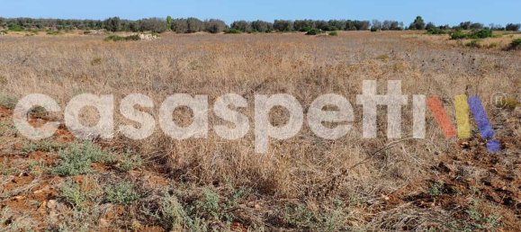 Земельный участок в Veglie, Италия № 335302 6