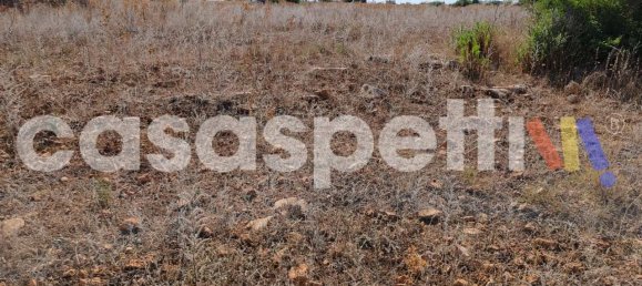 Земельный участок в Veglie, Италия № 335302 5