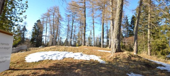 5 rooms Commercial property in Cavareno, Italy No. 130251 16