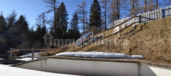 5 rooms Commercial property in Cavareno, Italy No. 130251 20