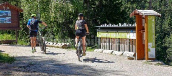 5 rooms Commercial property in Cavareno, Italy No. 130251 4