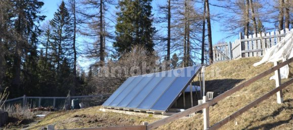 5 rooms Commercial property in Cavareno, Italy No. 130251 19