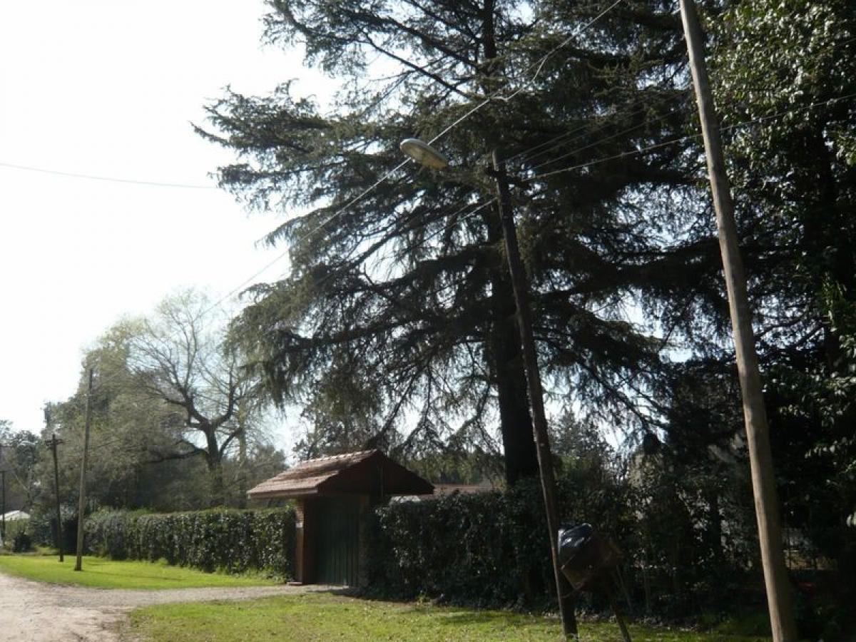  Land in Esteban Echeverria, Argentina No. 34741