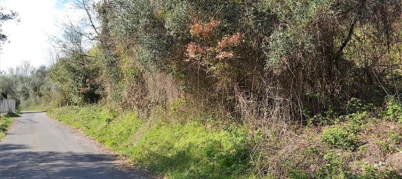 450m² Commercial property in Corfu, Greece No. 5088 6