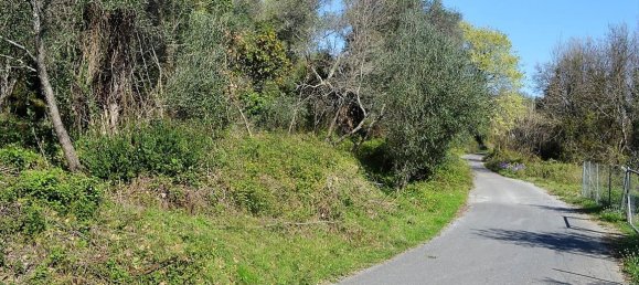 450m² Commercial property in Corfu, Greece No. 5088 5