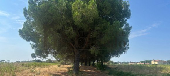 3 rooms House in Castiglione del Lago, Italy No. 45324 39