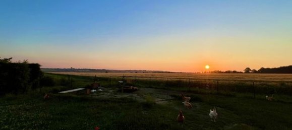 3 bedrooms House in Martin-Eglise, France No. 353046 13