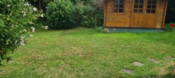 3 غرف نوم تاون هاوس في Mainz-Bingen, Germany رقم 223920 14