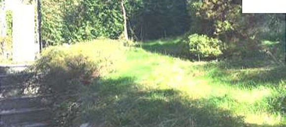 Дом с 7 комнатами в Диццаско, Италия № 3915 7