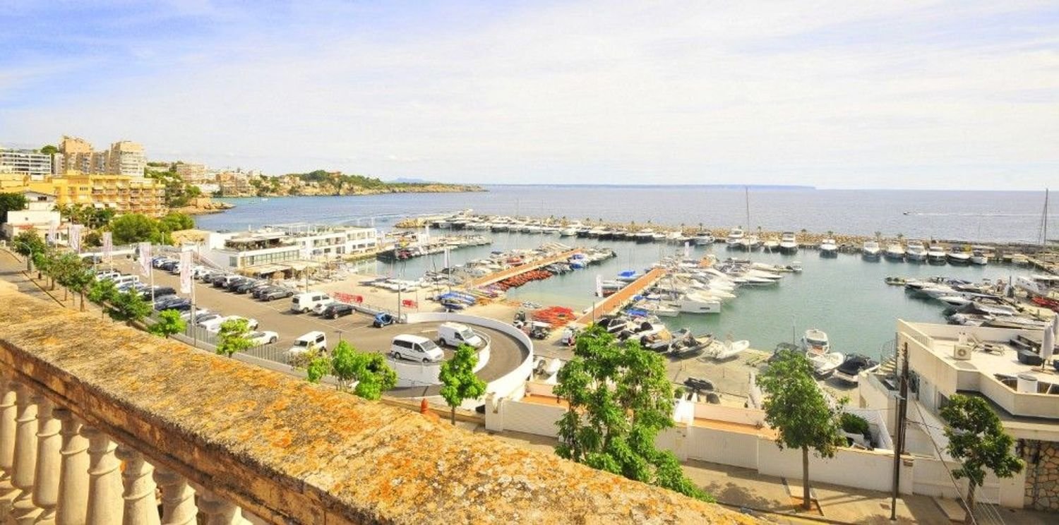 11 غرف نوم منزل في Santa Eulalia Del Rio, Spain رقم 72104